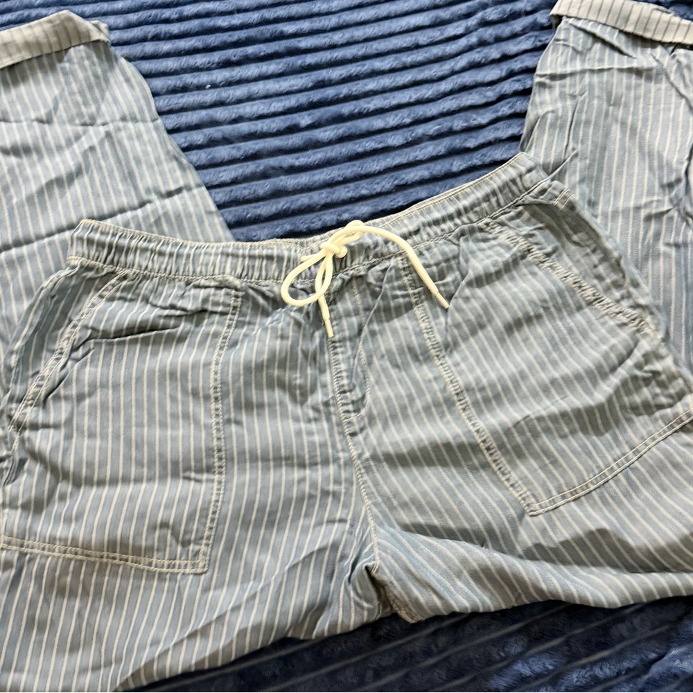 Indigo Rein Blue Striped Women's Pants